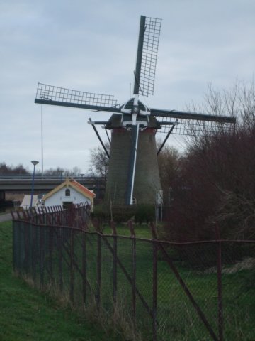 dscf5408.jpg