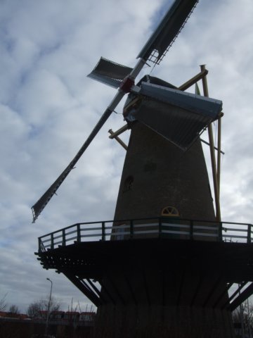dscf5430.jpg
