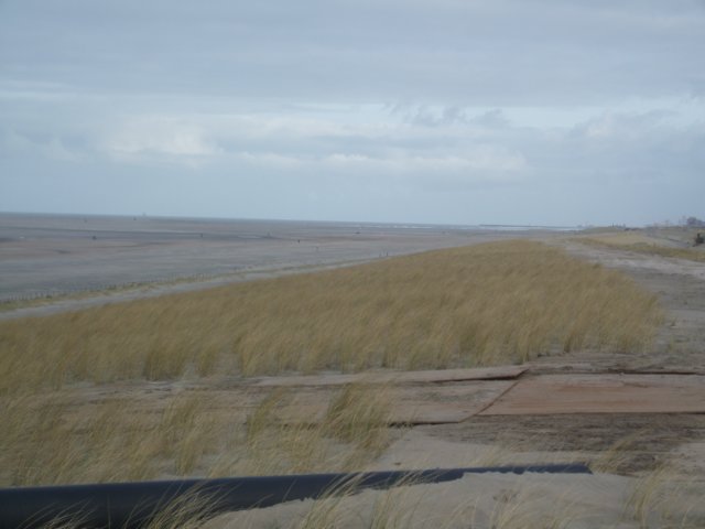dscf5437.jpg